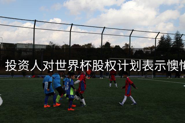 投资人对世界杯股权计划表示懊悔：初衷虽善但事与愿违